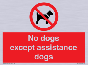 No dogs except assistance dogs